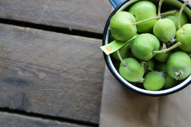 Similar image 21988961