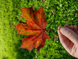 Similar image 21988964