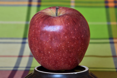 Similar image 21986434