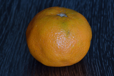 Similar image 21986440