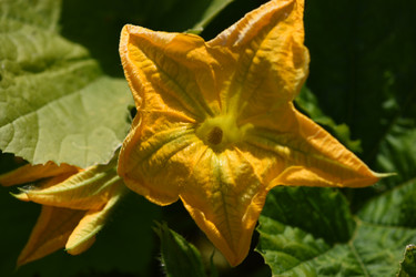 Similar image 21986632