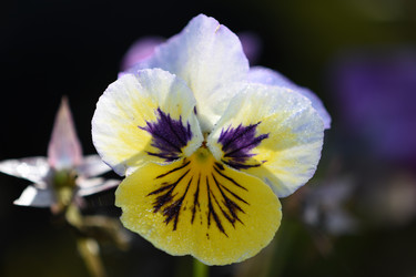 Similar image 21986633