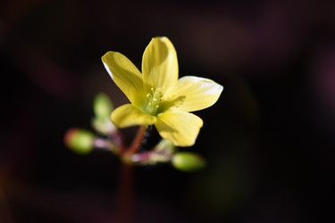 Similar image 21986635