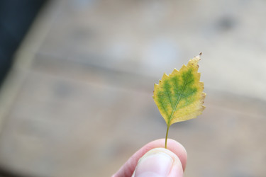 Similar image 21988979