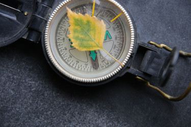 Similar image 21988980