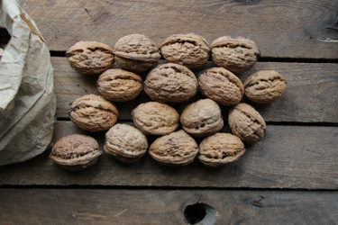 Similar image 21988981