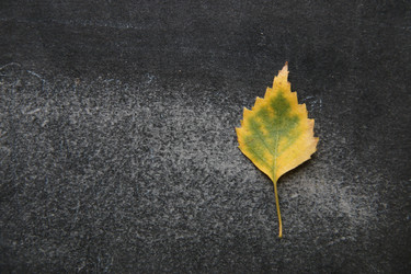 Similar image 21989069