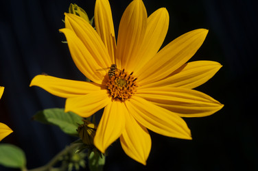 Similar image 21990392