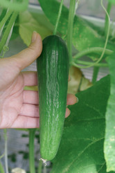 Similar image 21988394