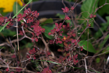 Similar image 21978028