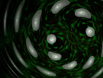 Similar image 21977410