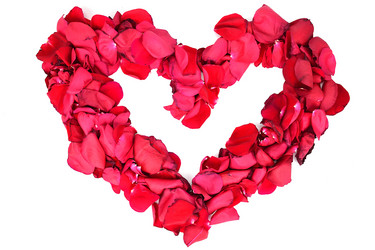 Similar image 21987166