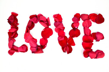 Similar image 21987167