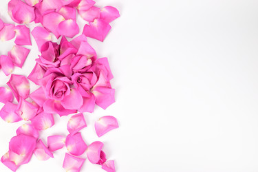 Similar image 21987411