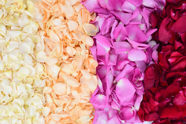 Similar image 21987413