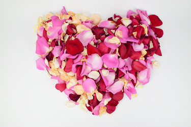 Similar image 21987414