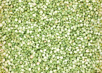 Similar image 21986688