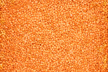 Similar image 21986690