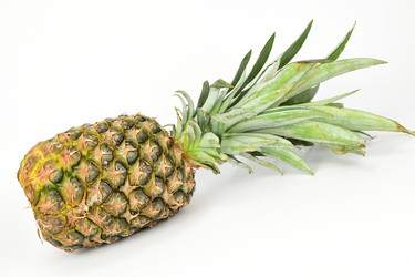 Similar image 21987182