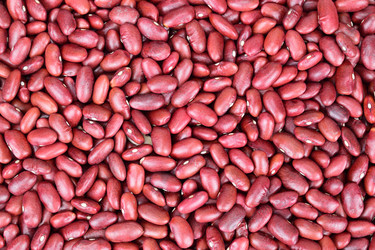 Similar image 21987183