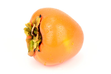 Similar image 21987448