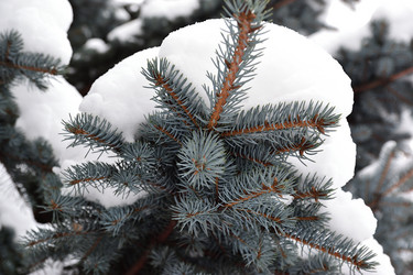 Similar image 21988157