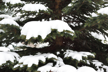 Similar image 21991697