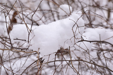 Similar image 21991701