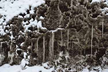 Similar image 21986491