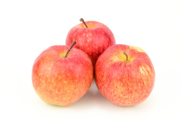 Similar image 21986696