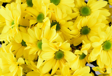 Similar image 21986712