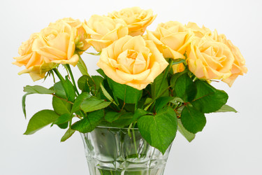 Similar image 21988164