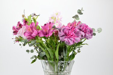 Similar image 21988183