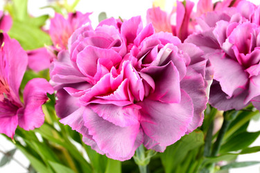 Similar image 21988185