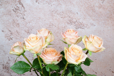 Similar image 21987454