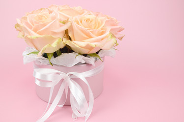 Similar image 21987462