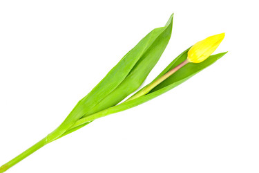 Similar image 21987465