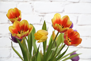 Similar image 21987476