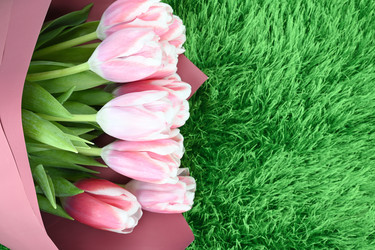 Similar image 21987610