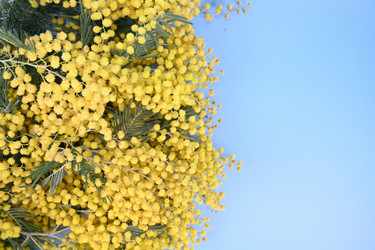 Similar image 21986722