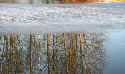 Similar image 21986521