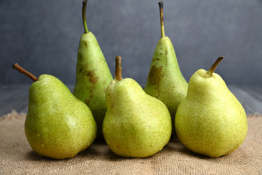 Similar image 21986533