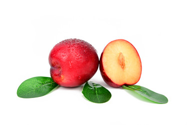 Similar image 21986737