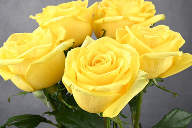 Similar image 21986738