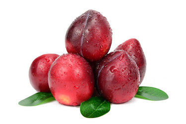 Similar image 21986554