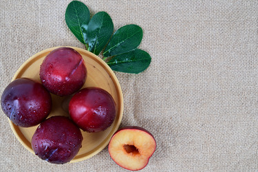 Similar image 21986555