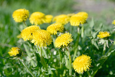 Similar image 21986559