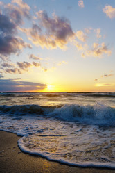 Similar image 21986039