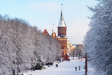 Similar image 21986040