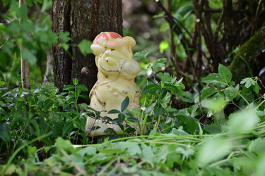 Similar image 21987496